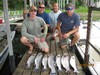 (06/02/2018) - Nice Striped Bass